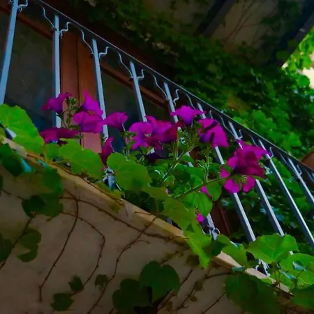 Blue House Terrace And Balcony